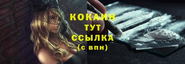 мдпв Кодинск