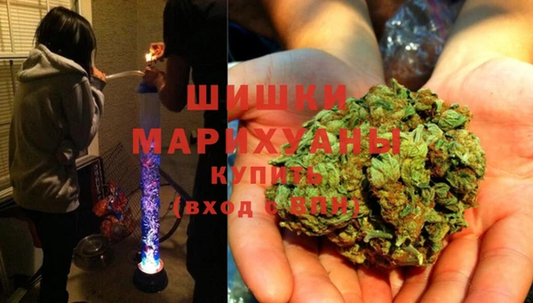 мдпв Кодинск